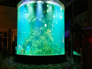 Kitajska po meri poceni super velika okrogla pmma stekla akvarijih jasne cilindre akrilne ribe rezervoarje