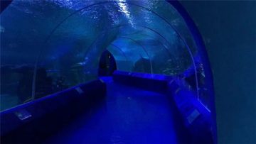 180 ali 90 stopinj akrilnih plošč za predor akvarija