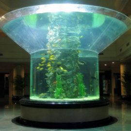 pmma steklarski akvarij z polcilindričnim polnilnim črnilom