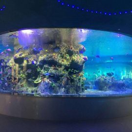 tovarniško dovodne ribje posode, okrogli stekleni akvariji