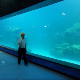Lite stenske UV akrilne plošče za akvarij / oceanarium