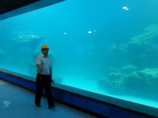 Lite stenske UV akrilne plošče za akvarij, oceanarium