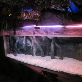 Akrilna plošča za bazen / okno za podvodno morje