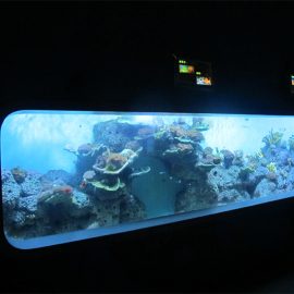 Umetni akrilni valjasti prozorni ribji akvarij / ogledno okno
