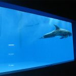 visoka kakovost Veliki akrilni akvarij / bazen okno podvodno debelo okno stanja