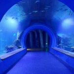 Visoko jasen akrilni akvarijski akvarij različnih oblik
