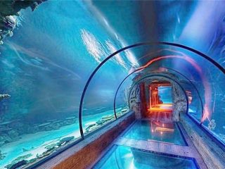 Moderni dizajn akril dolgo akvarij tunel